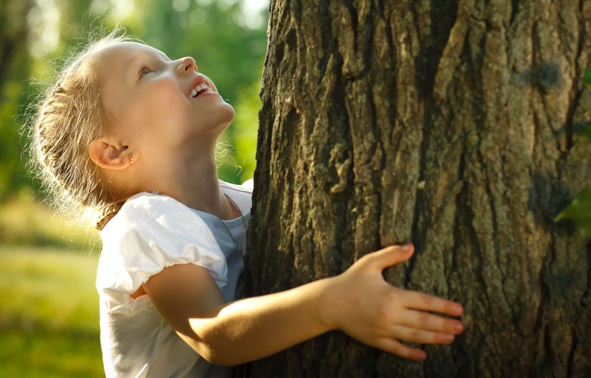 Nachhaltig predigen 2025/26: Zuversicht als Haltung für eine verletzte Welt
